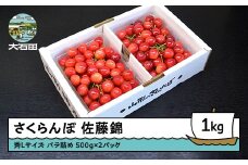 さくらんぼ 佐藤錦 秀L 1000g 1kg（バラ詰め） 2026年産 令和8年産 山形県産 ふるさと納税 果物 くだもの フルーツ 期間限定 冷蔵配送 先行受付 グルメ 取り寄せ ご当地 特産 産地 直送 送料無料 東北 山形県 人気 （500g×2パック） ry-snslb1000