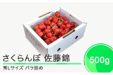 さくらんぼ 佐藤錦 秀L 500g 2026年産 令和8年産 山形県産 ふるさと納税 果物 くだもの フルーツ 期間限定 冷蔵配送 先行受付 グルメ 取り寄せ ご当地 特産 産地 直送 送料無料 東北 山形県 人気 ry-snslb500