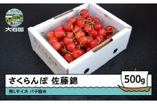 さくらんぼ 佐藤錦 秀L 500g 2026年産 令和8年産 山形県産 ふるさと納税 果物 くだもの フルーツ 期間限定 冷蔵配送 先行受付 グルメ 取り寄せ ご当地 特産 産地 直送 送料無料 東北 山形県 人気 ry-snslb500
