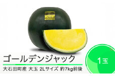 すいか 大玉 ゴールデンジャック 2Lサイズ×1玉 2025年産 令和7年産 山形県産 8月上旬から順次発送 mn-sugjx2