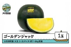 すいか 大玉 ゴールデンジャック 2〜3Lサイズ×1玉 2026年産 令和8年産 山形県産 8月上旬から順次発送 mn-sugjx2
