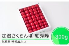 加温 さくらんぼ 紅秀峰 特秀品 2L玉 化粧箱 300g 2026年産 令和8年産  フルーツ 果物 山形県 ja-bsk2x300