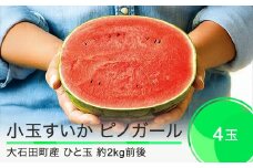 先行予約 すいか 小玉 ピノガール 約2kg前後×4玉 2025年産 令和7年産 山形県産 大石田町産 7月下旬から順次発送 mn-sukxx4