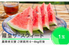 すいか ご家庭用 大玉 羅皇ザ・スウィート 約6〜8kg前後 1玉 2025年産 令和7年産 山形県産 大石田町産 8月上旬から順次発送 mn-suwro