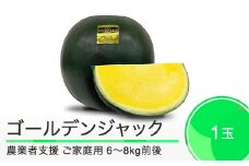 すいか ご家庭用 大玉 ゴールデンジャック 約6〜8kg前後 1玉 2025年産 令和7年産 山形県産 大石田町産 8月上旬から順次発送 mn-suwgj