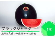 すいか ご家庭用 大玉 ブラックジャック 約6〜8kg前後 1玉 2025年産 令和7年産 山形県産 大石田町産 8月上旬から順次発送 mn-suwbj