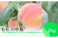 もも 桃 川中島 約2kg 2025年産 令和七年産 果物 フルーツ 山形県産 ja-moknx2