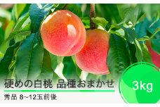 先行予約 硬めの白桃 品種おまかせ 3kg 山形県産 2025年産 令和7年産 ふるさと納税 果物 くだもの フルーツ 期間限定 冷蔵配送 先行受付 グルメ 取り寄せ ご当地 特産 産地 直送 送料無料 東北 山形県 人気  果実 送料無料 ry-mohth3000