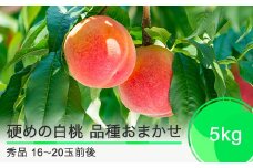 先行予約 硬めの白桃 品種おまかせ 5kg 山形県産 2025年産 令和7年産 ふるさと納税 果物 くだもの フルーツ 期間限定 冷蔵配送 先行受付 グルメ 取り寄せ ご当地 特産 産地 直送 送料無料 東北 山形県 人気  果実 送料無料 ry-mohth5000