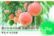 桃 もも 柔らかめの白桃 品種おまかせ 2kg 山形県産 2025年産 令和7年産 ふるさと納税 果物 くだもの フルーツ 期間限定 冷蔵配送 先行受付 グルメ 取り寄せ ご当地 特産 産地 直送 送料無料 東北 山形県 人気  果実 送料無料 ry-mohts2000
