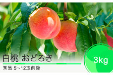 桃 もも 白桃 おどろき 3kg 山形県産 2025年産 令和7年産 ふるさと納税 果物 くだもの フルーツ 期間限定 冷蔵配送 先行受付 グルメ 取り寄せ ご当地 特産 産地 直送 送料無料 東北 山形県 人気  果実 送料無料 ry-moodx3000