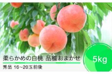 桃 もも 柔らかい白桃 品種おまかせ 5kg 山形県産 2025年産 令和7年産 ふるさと納税 果物 くだもの フルーツ 期間限定 冷蔵配送 先行受付 グルメ 取り寄せ ご当地 特産 産地 直送 送料無料 東北 山形県 人気  果実 送料無料 ry-mohts5000