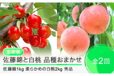 【先行予約】 2回定期便 佐藤錦1kg 白桃2kg さくらんぼ 柔らかめの白桃 品種おまかせ 選べる定期便 山形県産 2026年産 令和8年産 フルーツ 果実  ry-ft2sh3000-s