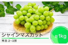 先行予約 シャインマスカット 合わせて1kg 2~3房 山形県産 2025年度産 令和7年産 フルーツ 果実 送料無料 ry-busmx1000