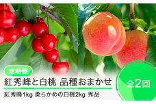 【2回定期便】紅秀峰1kg 白桃2kg さくらんぼ 柔らかめの白桃 品種おまかせ 選べる定期便 山形県産 2025年度産 令和7年 フルーツ 果実 送料無料 ry-ft2bh3000-s