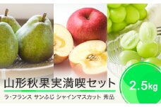山形秋果実満喫セット サンふじ ラフランス シャインマスカット 秀品 3種 詰合せ 計2.5kg 化粧箱入り 2025年産 令和7年産 山形県産 りんご リンゴ ラ・フランス 西洋梨 洋梨 梨 ぶどう ブドウ 葡萄 果物 フルーツ セット アソート 詰合せ 送料無料
※沖縄・離島への配送不可 ns-fsrls2500