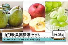山形秋果実満喫セット サンふじ ラフランス シャインマスカット 秀品 3種 詰合せ 計2.5kg 化粧箱入り 2025年産 令和7年産 山形県産 りんご リンゴ ラ・フランス 西洋梨 洋梨 梨 ぶどう ブドウ 葡萄 果物 フルーツ セット アソート 詰合せ 送料無料
※沖縄・離島への配送不可 ns-fsrls2500