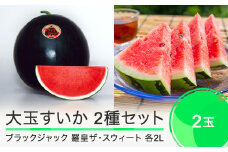 大玉すいか ブラックジャック 羅皇ザ・スウィート 各2Lサイズ×1玉ずつ 計2玉 食べ比べセット② 2025年産 令和7年産 山形県産 大石田町産 mn-su2br2