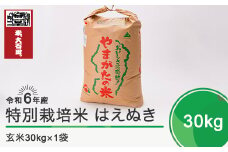 令和7年9月上旬発送 はえぬき30㎏ 玄米 令和6年産 ja-hagxb30-9f