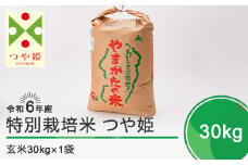 令和7年9月上旬発送 つや姫30㎏ 玄米 令和6年産 ja-tsgxb30-9f