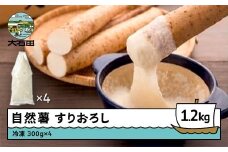 雪国育ちの自然薯 すりおろし 300g×4 計1200g 野菜 やまいも じねんじょ 山形県 大石田町産 oz-zisox1200