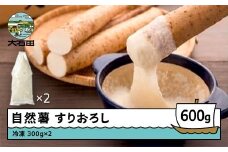 雪国育ちの自然薯 すりおろし 300g×2 計600g 野菜 やまいも じねんじょ 山形県 大石田町産 oz-zisox600
