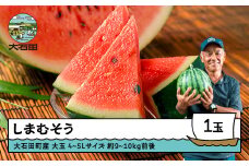 大玉すいか しまむそう 4〜5Lサイズ×1玉 2026年産 令和8年産 山形県産 7月中旬から順次発送 gt-susmx4