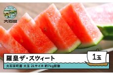 すいか 大玉 羅皇ザ・スウィート 2Lサイズ×1玉 2025年産 令和7年産 山形県産 8月上旬から順次発送 gt-surox2
