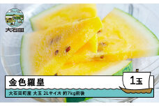 すいか 大玉 金色羅皇 2Lサイズ×1玉 2025年産 令和7年産 山形県産 大石田町産 8月上旬から順次発送 gt-sukrx2