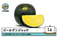 すいか 大玉 ゴールデンジャック 2Lサイズ×1玉 2025年産 令和7年産 山形県産 8月上旬から順次発送 gt-sugjx2