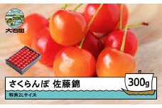 さくらんぼ 佐藤錦 特秀2Lサイズ プレゼント ギフト 化粧箱入 300g 2026年産 令和8年産 山形県産 ふるさと納税 果物 くだもの フルーツ 期間限定 冷蔵配送 先行受付 グルメ 取り寄せ ご当地 特産 産地 直送 送料無料 東北 山形県 人気山形県産 ns-snt2x300