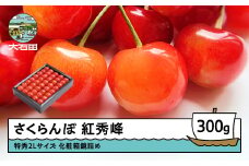 さくらんぼ 紅秀峰 特秀2Lサイズ 300g プレゼント ギフト 化粧箱鏡詰め 2026年産 令和8年産 山形県産 ふるさと納税 果物 くだもの フルーツ 期間限定 冷蔵配送 先行受付 グルメ 取り寄せ ご当地 特産 産地 直送 送料無料 東北 山形県 人気山形県産 ns-bst2x300