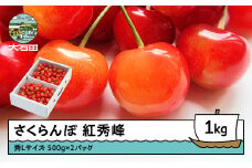 さくらんぼ 紅秀峰 秀Lサイズ 1㎏ バラ詰め 化粧箱 (500g×2) 2026年産 令和8年産 山形県産 ふるさと納税 果物 くだもの フルーツ 期間限定 冷蔵配送 先行受付 グルメ 取り寄せ ご当地 特産 産地 直送 送料無料 東北 山形県 人気山形県産 ns-bsslb1