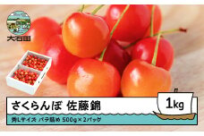  さくらんぼ 佐藤錦 秀Lサイズ バラ詰め 1kg(500g×2パック) 2026年産 令和8年産 山形県産 ふるさと納税 果物 くだもの フルーツ 期間限定 冷蔵配送 先行受付 グルメ 取り寄せ ご当地 特産 産地 直送 送料無料 東北 山形県 人気山形県産 ns-snslb1