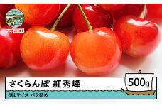 さくらんぼ 紅秀峰 秀Lサイズ バラ詰め 500g 2026年産 令和8年産 山形県産 ふるさと納税 果物 くだもの フルーツ 期間限定 冷蔵配送 先行受付 グルメ 取り寄せ ご当地 特産 産地 直送 送料無料 東北 山形県 人気山形県産 果物 フルーツ くだもの ns-bsslb500