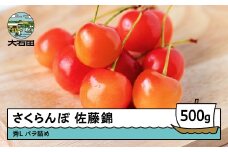  さくらんぼ 佐藤錦 秀Lサイズ バラ詰め 500g 2026年産 令和8年産 山形県産 ふるさと納税 果物 くだもの フルーツ 期間限定 冷蔵配送 先行受付 グルメ 取り寄せ ご当地 特産 産地 直送 送料無料 東北 山形県 人気山形県産 果物 フルーツ くだもの ns-snslb500