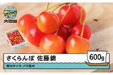  さくらんぼ 佐藤錦 秀Mサイズ バラ詰め 600g (600g×1箱) 2026年産 令和8年産 山形県産 ふるさと納税 果物 くだもの フルーツ 期間限定 冷蔵配送 先行受付 グルメ 取り寄せ ご当地 特産 産地 直送 送料無料 東北 山形県 人気 山形県産 ns-snsmb600