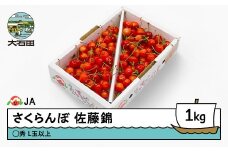 先行予約 さくらんぼ 佐藤錦 1kgバラ ◯秀 L玉以上 2026年産 令和8年産 果物 フルーツ 山形県産 ja-snbax1
