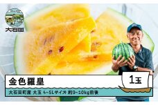 すいか 大玉 金色羅皇 4〜5Lサイズ×1玉 2026年産 令和8年産 山形県産 大石田町産 8月上旬から順次発送 gt-sukrx4