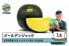 すいか 大玉 ゴールデンジャック 4〜5Lサイズ×1玉 2026年産 令和8年産 山形県産 8月上旬から順次発送 gt-sugjx4