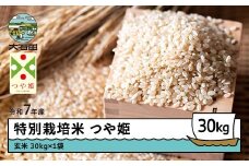 新米 米 令和7年産 米 つや姫 30㎏ 大石田町産 特別栽培米 玄米 ks-tsgxa30-11f