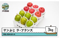 サンふじ & ラ・フランス 詰め合わせ 秀品 3kg 化粧箱入 詰め合わせ 令和7年産 2025年産 12月上旬~1月中旬頃発送 送料無料 りんご リンゴ 洋梨 西洋梨 ラフランス 果物 フルーツ アソート ギフト 山形県産 送料無料 ※沖縄・離島への配送不可 ns-fsrlx3