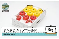 りんご サンふじ＆シナノゴールド 秀品 3kg 化粧箱入 令和7年産 2025年産 12月上旬~1月中旬頃発送 山形県産  フルーツ 果物 ns-rifgx3