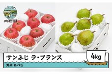 サンふじ & ラ・フランス 秀品 各2kg 計4kg 化粧箱入 令和7年産 2025年産 12月上旬~1月中旬頃発送 りんご リンゴ 洋梨 西洋梨 ラフランス 果物 フルーツ ギフトセット 山形県産 送料無料 ※沖縄・離島への配送不可 ns-fsrlx4