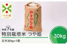 新米 米 令和7年12月下旬発送 つや姫30kg 玄米 令和7年産 ja-tsgxa30-12s