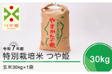 新米 米 令和8年2月上旬発送 つや姫30kg 玄米 令和7年産 ja-tsgxa30-2f