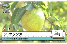 ラ・フランス 洋梨 ラフランス 秀 約5kg 2025年産 ja-laxxx5
