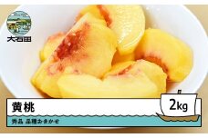 【先行予約】黄桃 品種おまかせ 約2kg 2026年産 令和8年産 果物 ふるさと納税 果物 くだもの フルーツ 期間限定 冷蔵配送 先行受付 グルメ 取り寄せ ご当地 特産 産地 直送 送料無料 東北 山形県 人気  山形県 ry-mootx2000