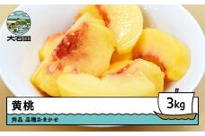 【先行予約】黄桃 品種おまかせ 約3kg 2026年産 令和8年産 果物 ふるさと納税 果物 くだもの フルーツ 期間限定 冷蔵配送 先行受付 グルメ 取り寄せ ご当地 特産 産地 直送 送料無料 東北 山形県 人気  山形県 ry-mootx3000