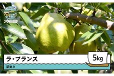 洋梨 ラ・フランス 訳あり 約5kg 2025年産 令和7年産 果物 フルーツ 山形県 ry-lawxx5000